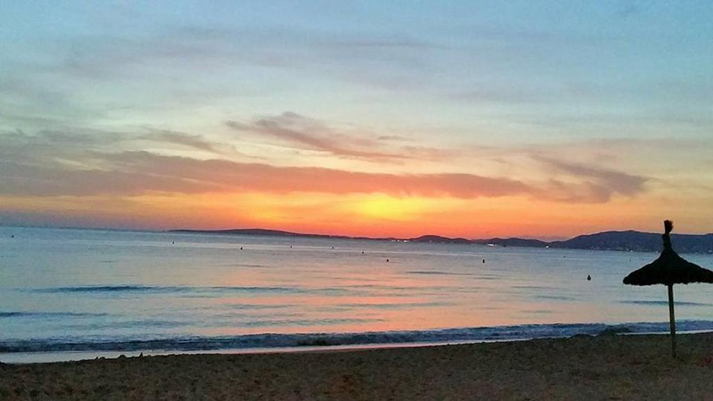 Hotel Myseahouse Flamingo - Adults Only 4* Sup Playa de Palma (Mallorca)